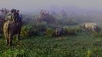 1467720168_0Kaziranga 1.jpg